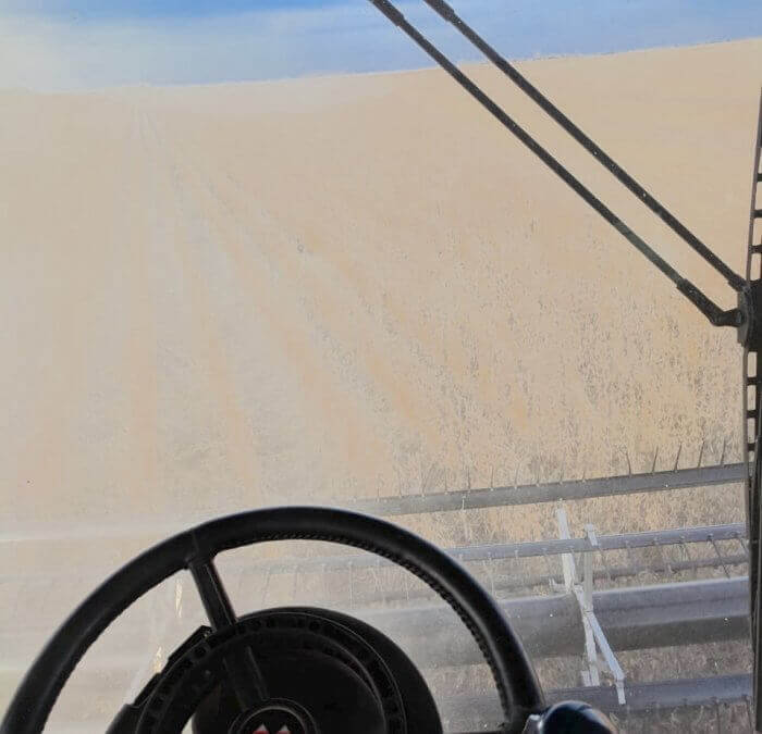 Steer Smoothly this Harvest with OnTrac3™!