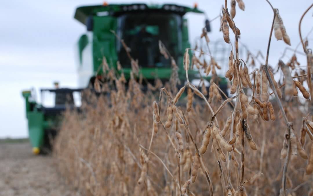 Top 5 Reasons You Need Ag Leader this Harvest
