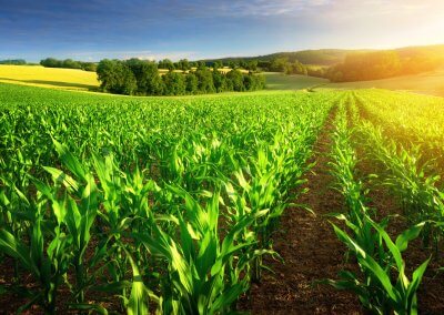 Precision farming products can benefit organic farming too
